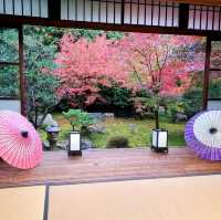 【京都】東福寺近くの穴場映えスポット⭐勝林寺⭐