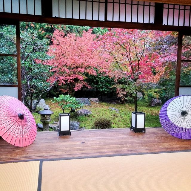 【京都】東福寺近くの穴場映えスポット⭐勝林寺⭐