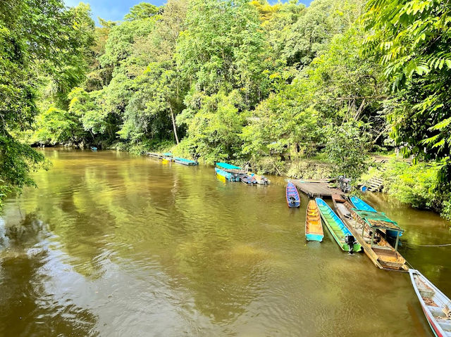 Gunung Mulu National Park