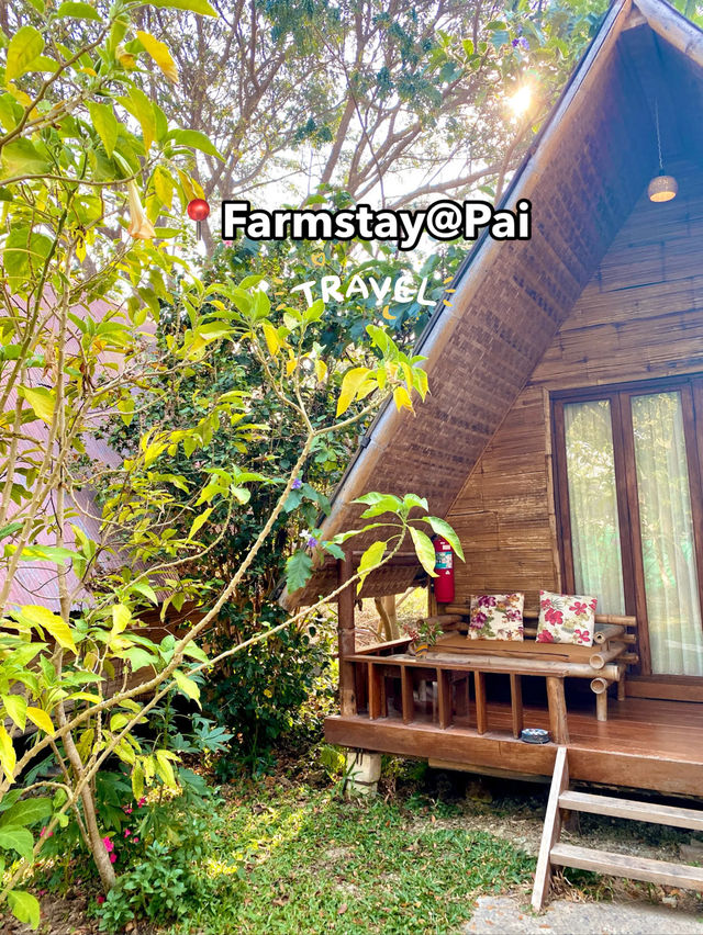 🇹🇭 A sweet getaway at Farmstay@ Pai