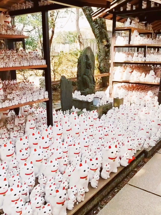 Gotokuji Temple - Lucky Cat