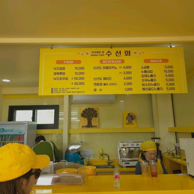 선도 수선화섬에서 감상하는 노랑노랑한 카페