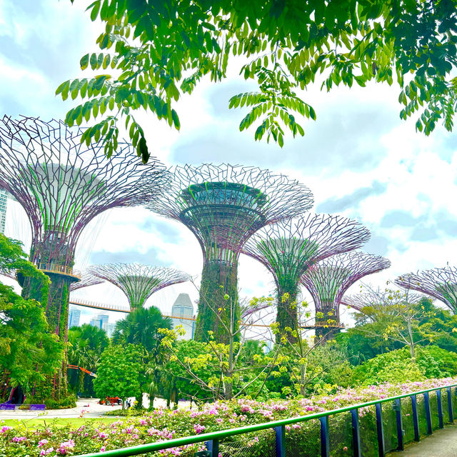 Garden by the bay 