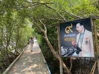 จุดชมวิวชายทะเลกาหลง