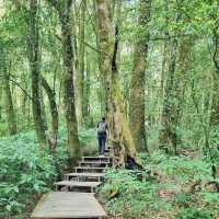 Highest Point in Thailand: Kew Mae Pan Nature Trail @ Chiang Mai 🇹🇭