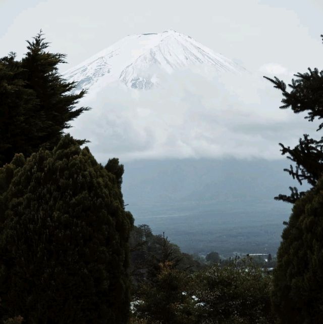 周游河口湖八音盒之森林美術館