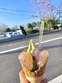 Bazu ร้านขนมญี่ปุ่นโบราณน่ารัก ย่านซันเนซากะ