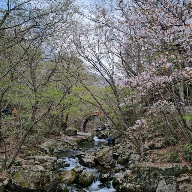 Spiritual Seonamsa, scenic serenity in Suncheon