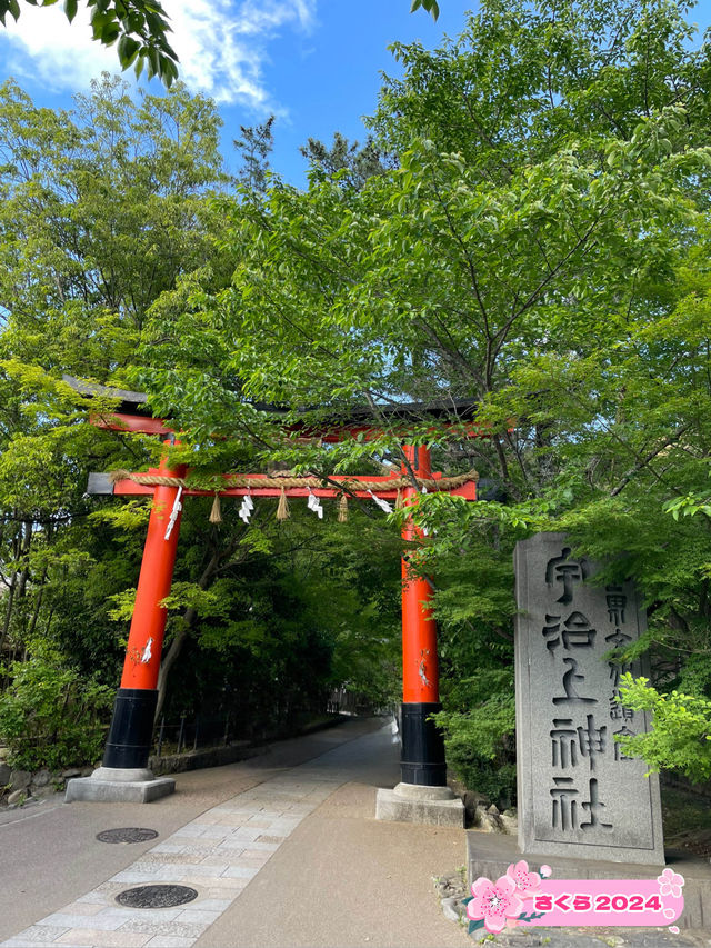 【京都府】世界文化遺産「宇治上神社」を参拝！