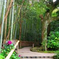 Hokokuji Temple
