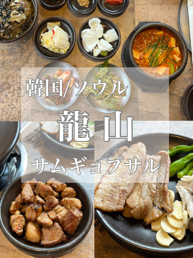 韓国/ソウル【龍山】サムギョプサル
