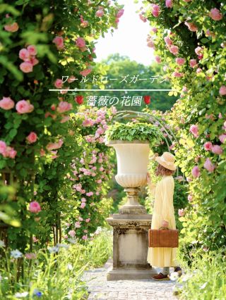 ต้องดู! สวนกุหลาบกิฟุอันเลื่องชื่อระดับโลก