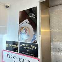 【田浦/釜山】ひっそり隠れ家的落ち着くカフェ発見