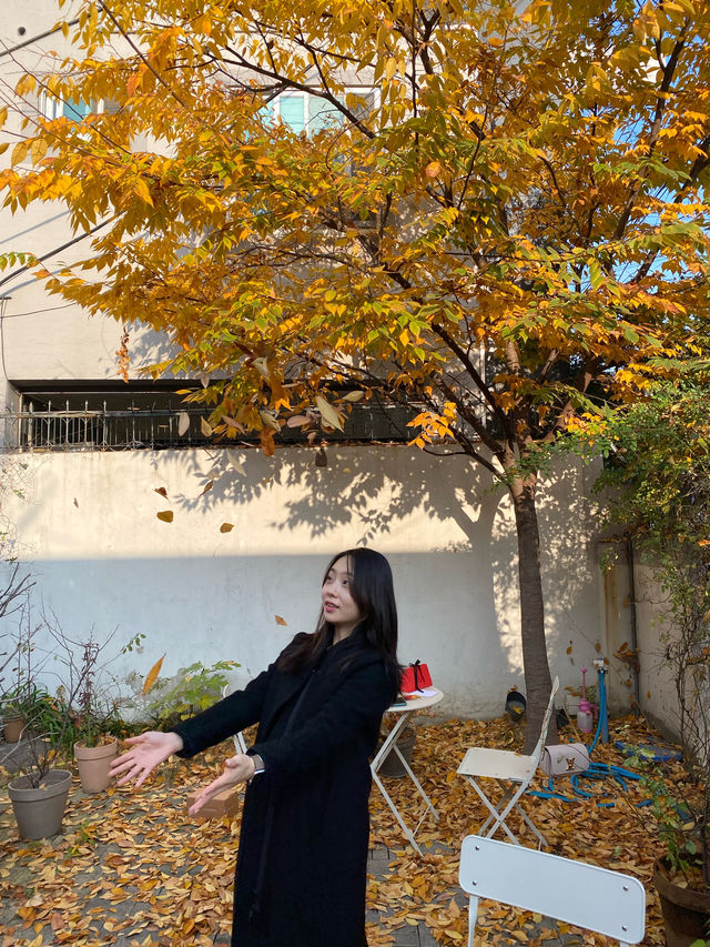 광주 동명동에서 분위기 허버좋은 ‘카페호시정’