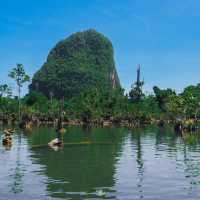 เที่ยวคลองน้ำใส พายเรือคายัค สัมผัสธรรมชาติ