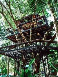 🌳ผ่อนคลายสบายใจกับ คาเฟ่บ้านต้นไม้ ☕
