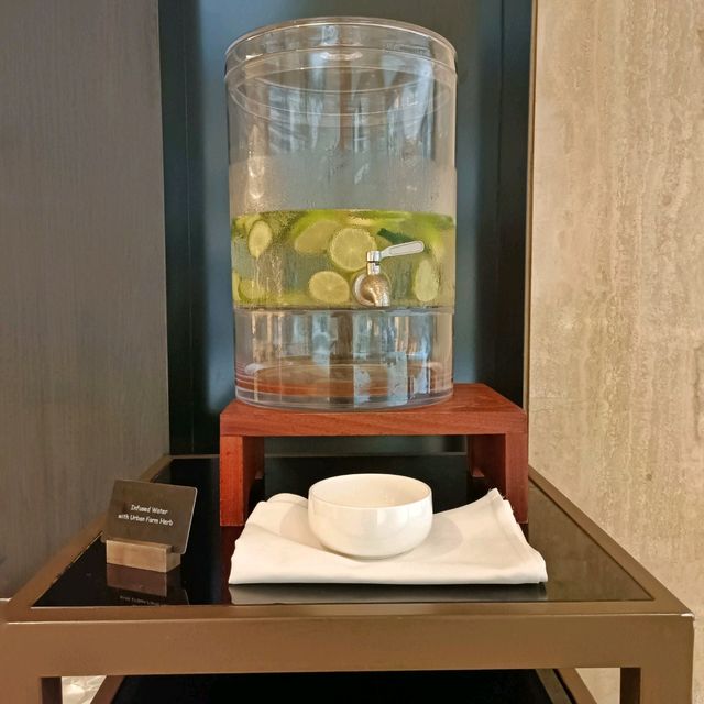 Garden-in-a-City Hotel in Singapore 