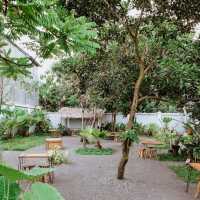 SENA COFFE JOGJA | THE BEST HOMEMADE SOFT COOKIES