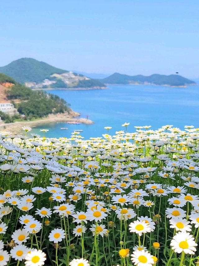 현시각 여수에서 가장 예쁜 정원카페💛🤍