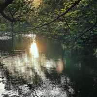 「交通公園～大自然恬靜」