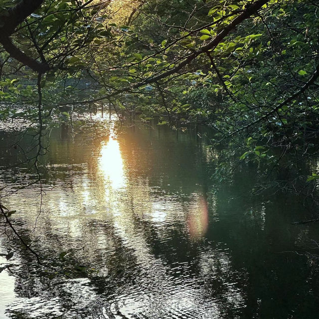 「交通公園～大自然恬靜」