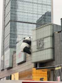 Chengdu🐼IFS 