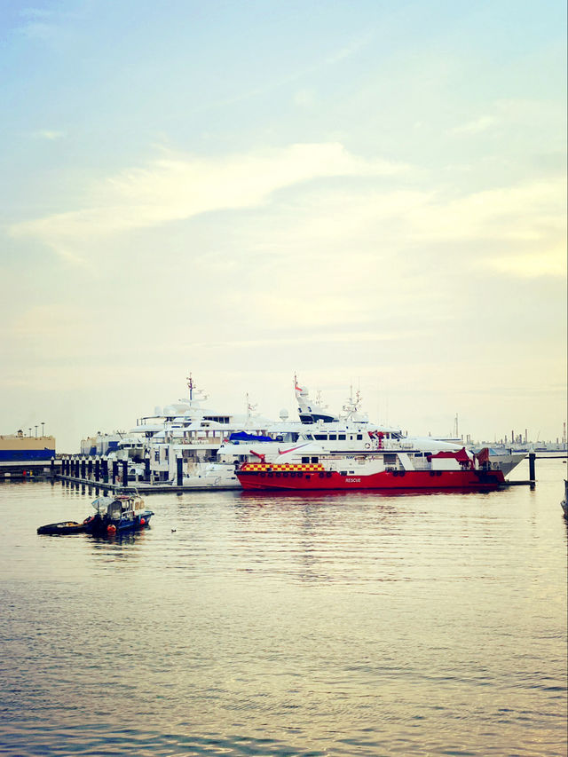 Exploring West Coast Park's Stunning Seaview