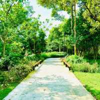 🇸🇬 Wetlands at Gardens by the Bay