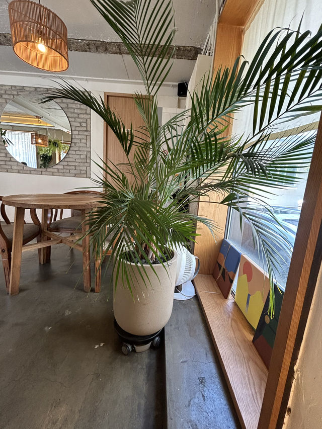 韓国で南国気分が味わえる？！🌴望遠にオシャレカフェ✨