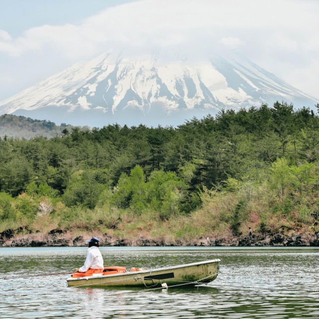 🏕️ทะเลสาบไซโกะ (Lake Saiko)🗻