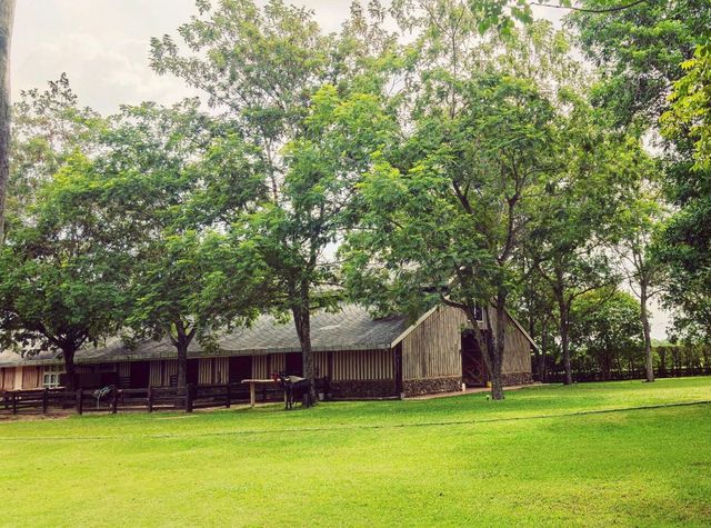 Trot Cafe @ Khaoyai 