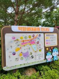 가을이 기다려지는 함안 악양생태공원