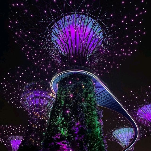 濱海灣花園