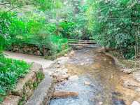 คาเฟ่ท่ามกลางธรรมชาติ จังหวัดระนอง