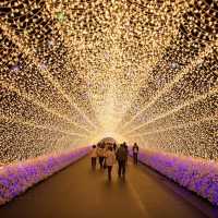Nabana no Sato Winter 