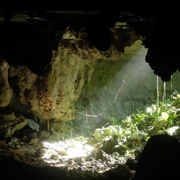 Exploring the Wonders of Gua Mulu