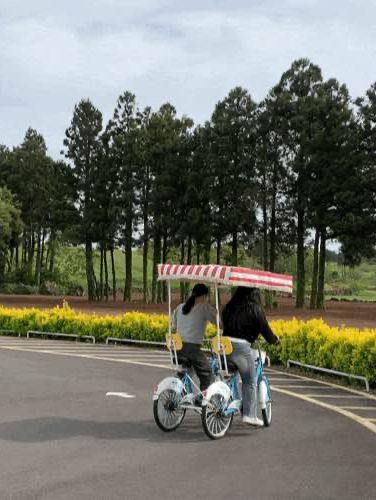 제주도 아이랑 가볼만한곳 🐎
