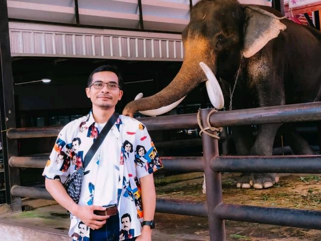 เที่ยวสวนนงนุช พัทยา ที่แสนอลังการ เที่ยวสวนนงนุช พัทยา ที่แสนอลังการ