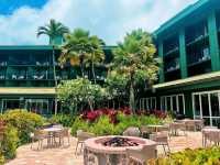 🌴 Tropical Paradise in Kaua'i 