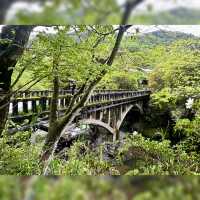 แค่อยากนั่งรถไฟเล่น🚞ชมธรรมชาตินอกเมือง Kyoto
