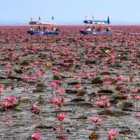 The Red Lotus Lake
