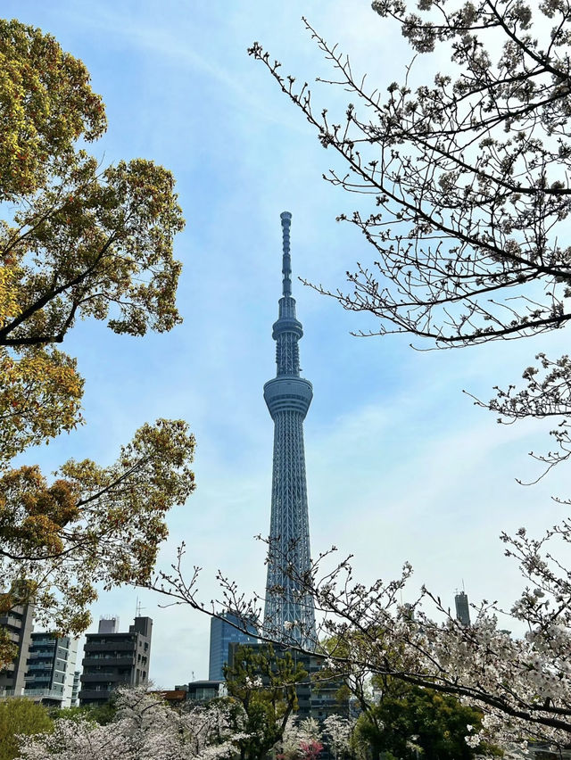 【東京】晴空塔：網紅地打卡，世界最高電視塔🔥🏖️