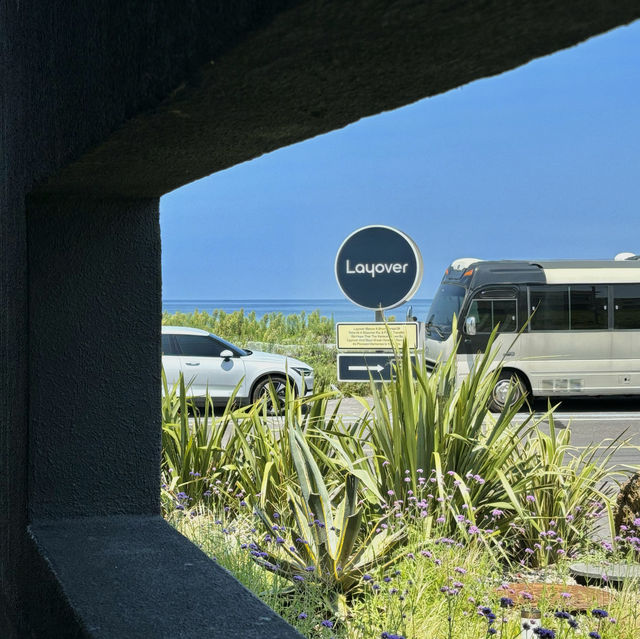 제주여행🏝️ 행원해변 뷰맛집 카페 레이오버🩵
