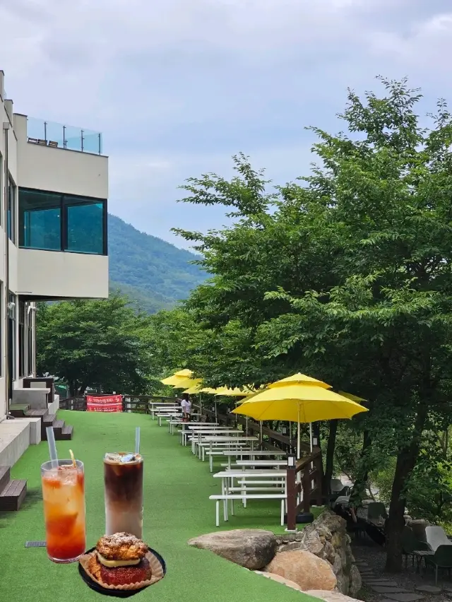 비슬산 티켓 할인, 운영 시간, 후기 [2025년] | Trip.com