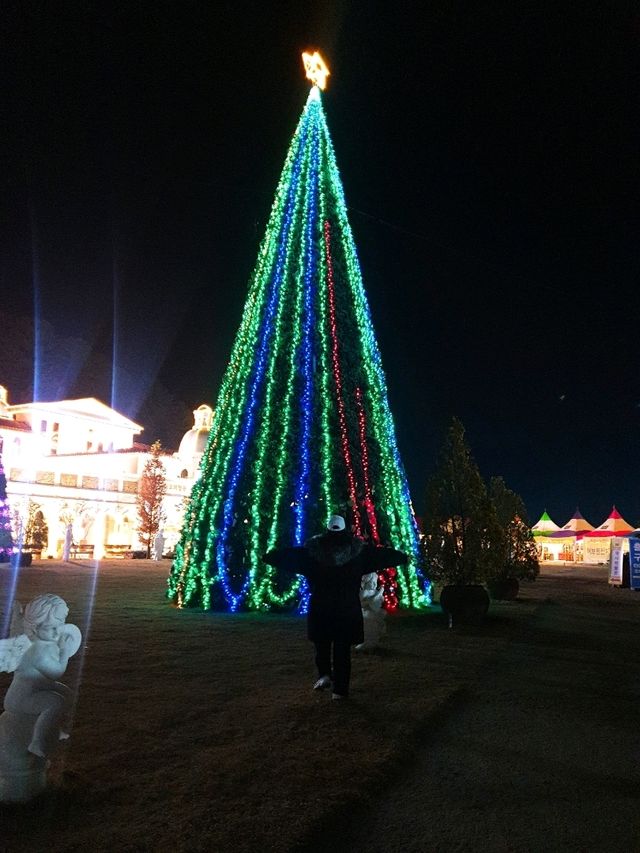 포천🤍 야경 좋은 포천 허브아일랜드🌿🌃