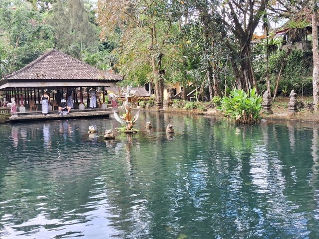 【バリ島】ティルタ ウンプル寺院に行ってきました