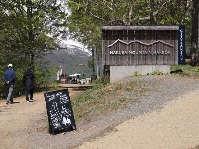 夏のスキー場は避暑地