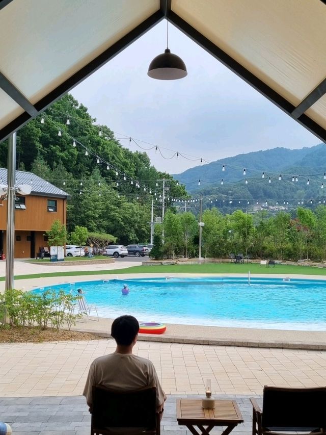 숲에서 만난 바다