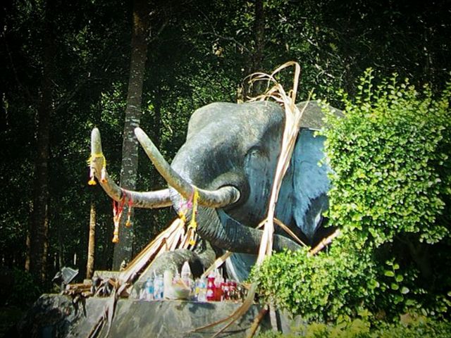 เขาถ้ำช้าง จ.พังงา