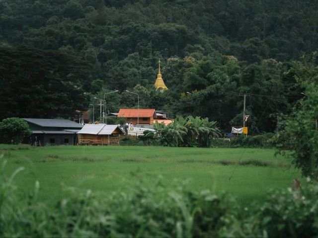 เมืองคอง จ.เชียงใหม่